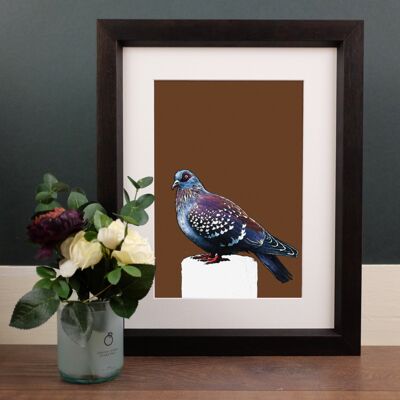 Il piccione A4 Stampe d'arte