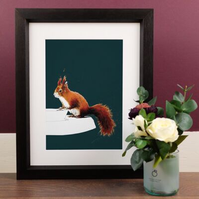 Lo scoiattolo rosso A4 stampe d'arte