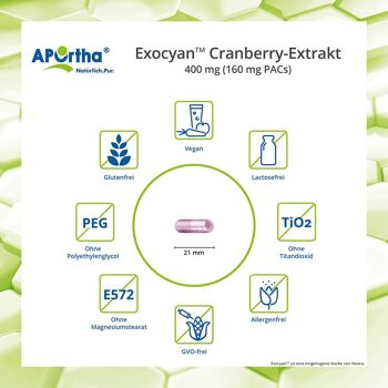 Extrait de canneberge Exocyan™ - 60 capsules végétaliennes 3