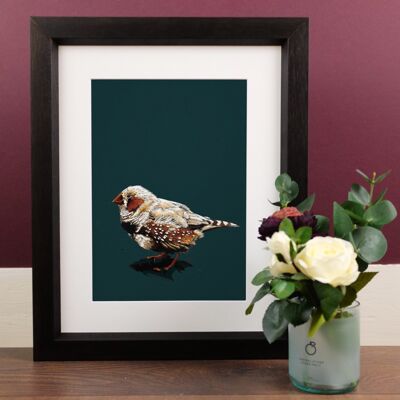 Der Zebrafinch A4 Art Prints