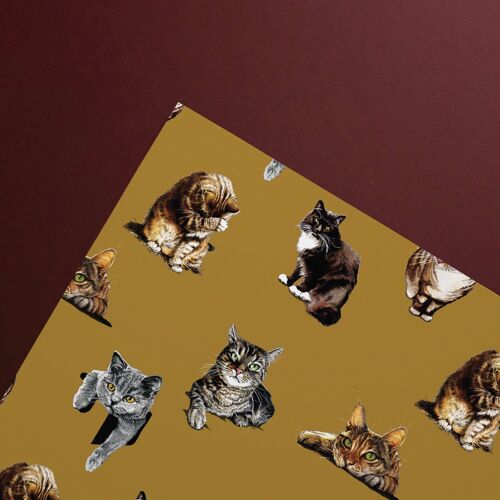 The Cats Gift Wrap Sheets