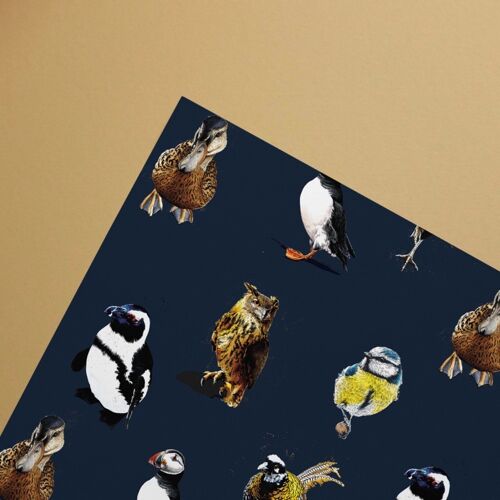 The Birds Gift Wrap Sheets