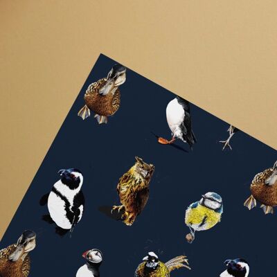 Feuilles d'emballage cadeau Les oiseaux