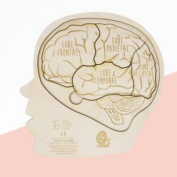 Puzzle 3D le cerveau humain 3