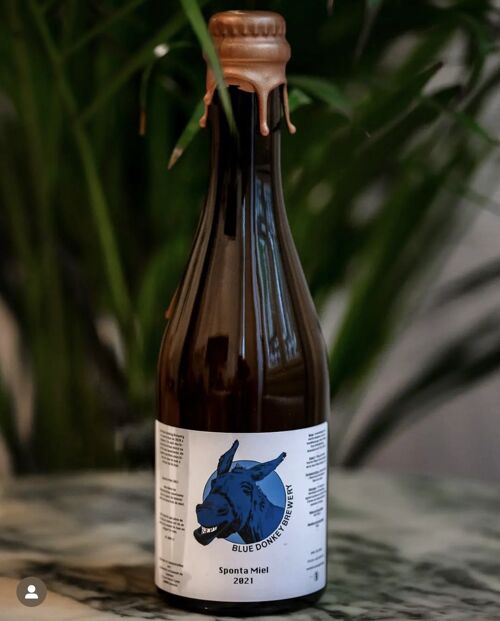 Blue Donkey Brewery - Sponta Miel 2021