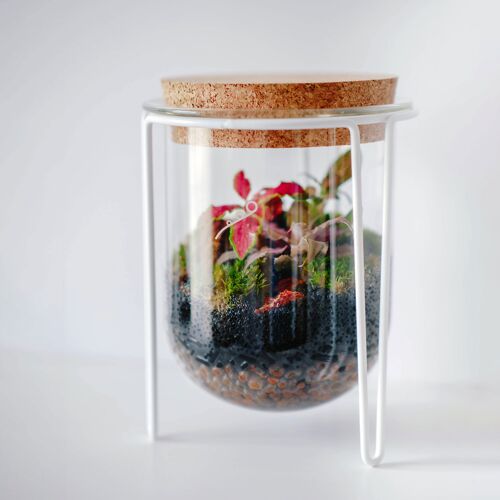 Cos STAND - Terrarium