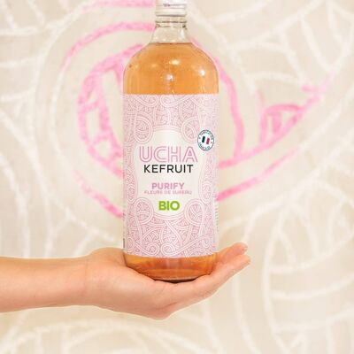 Kombucha "Purify" : Fleurs de sureau