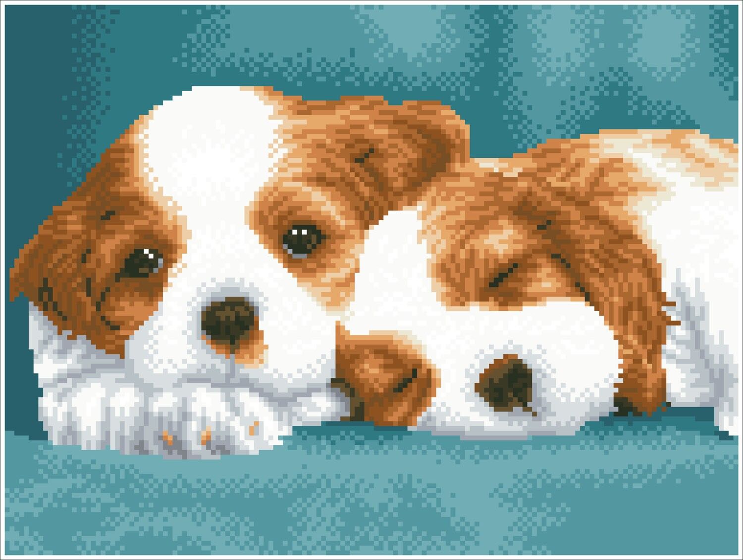 Cani a riposo - Diamanti quadrati