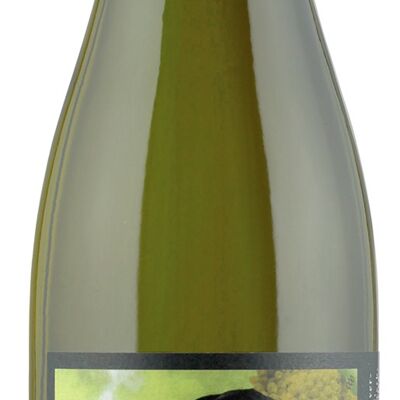 Der Pulvermächer Riesling von Stetten