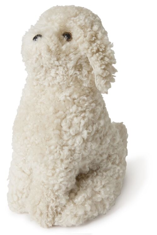 Snowy dog curly sheepskin_Pearl_Gift