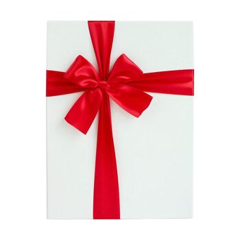 Ensemble de 3 coffrets cadeaux, boîte rouge texturée, ruban rouge 7