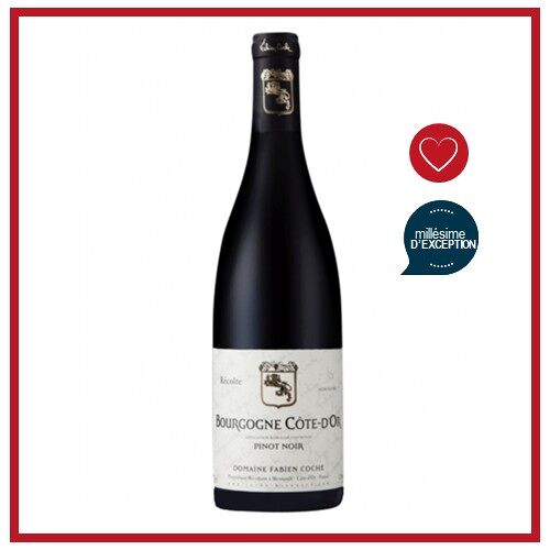 Fabien Coche "Pinot Noir" Côte d'Or - Vin de Bourgogne Côte d'Or - Vin rouge de Bourgogne - Millésime 2020