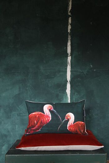 Coussin IBIS DARK SMALL 2