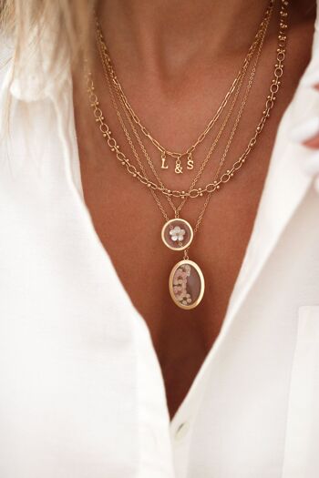 COLLIER FREDERIC 4