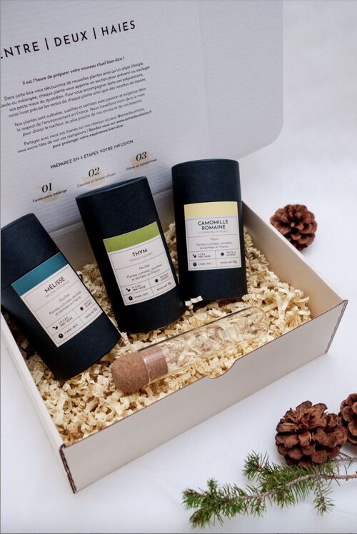 Coffret de noel "Les indispensables" Tisane - infusion