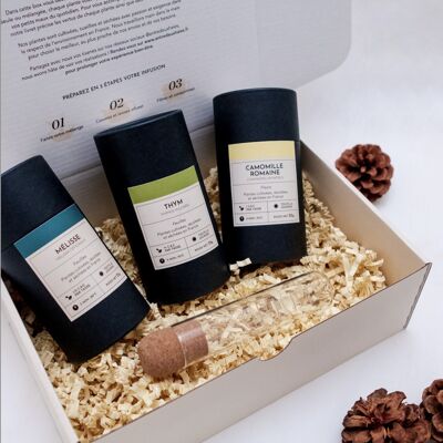 Christmas box "The essentials" Herbal tea - infusion