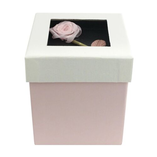 Square, Pink Gift Box, Cream Lid, Rose Flower Decoration