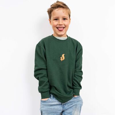 Pull enfant | Écureuil | Bouteille verte