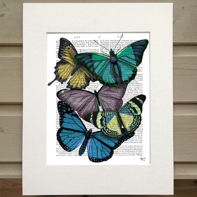 Big bold butterflies 4, Book Print, Art Print, Wall Art