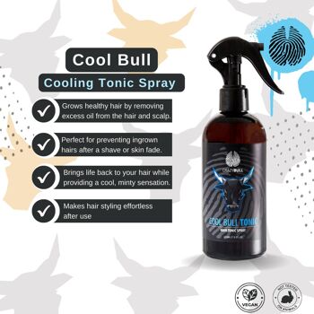 Crazy Bull Spray coiffant tonique capillaire Cool Bull 2