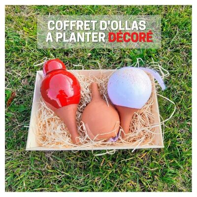 Coffret d'ollas à planter décoré