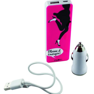 Batterie de portable rechargeable couture allume-cigare