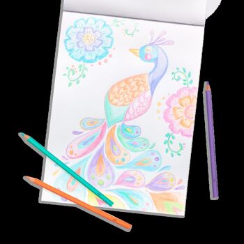 Teintes pastel - Crayons de couleur 5