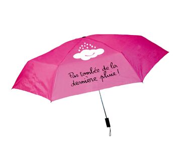 Presentoir 12 parapluies pliants cloud roses et gris 3