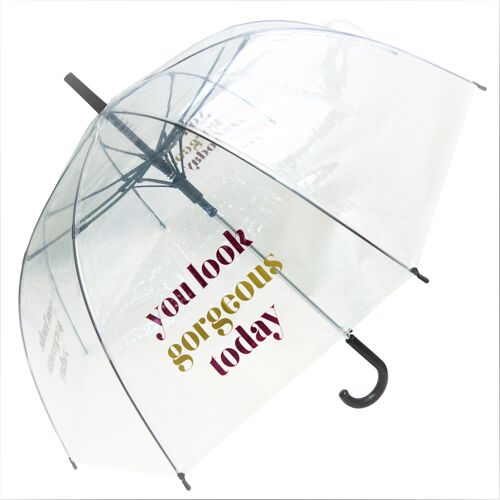 Umbrella - You Look Gorgeous Today Straight Transparent, Regenschirm, Parapluie, Paraguas