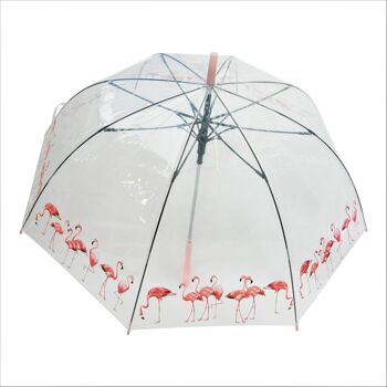 Parapluie, Flamingo flocks Straight Transparent, Regenschirm, Parapluie, Paraguas 2