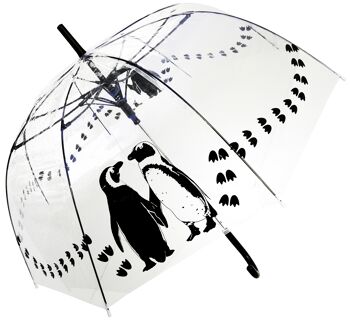Parapluie - Pingouins Droit Transparent, Regenschirm, Parapluie, Paraguas