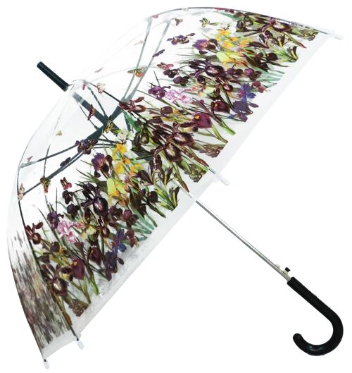 Umbrella, Iris Field Straight Transparent, Regenschirm, Parapluie, Paraguas