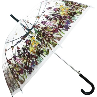 Umbrella, Iris Field Straight Transparent, Regenschirm, Parapluie, Paraguas