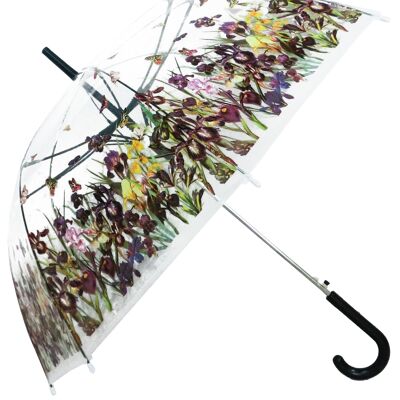 Ombrello, Iris Field Dritto Trasparente, Regenschirm, Parapluie, Paraguas