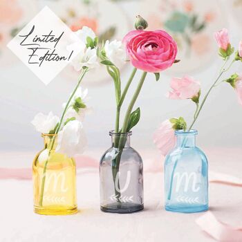 Vases en forme de bouteille colorées 'Mum' 1