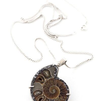 Pendentif fossile