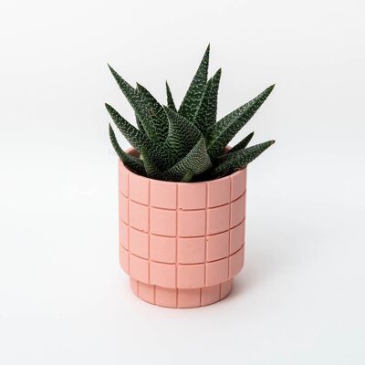 Tile Plant Pot - Miami Pink