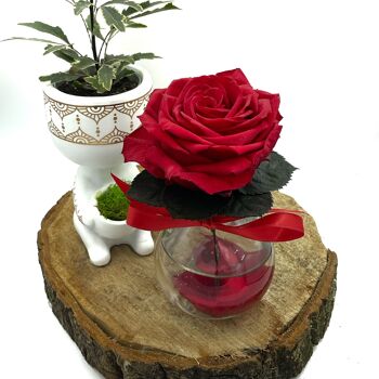 Vase Premium Rouge 1