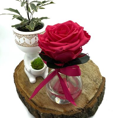 Premium Fuchsia Vase
