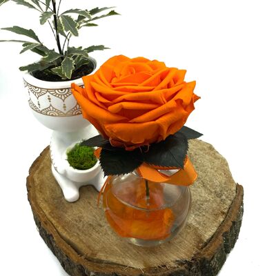 Hochwertige orangefarbene Vase