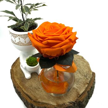 Vase Premium Orange 1