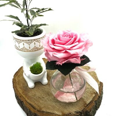 Rosa Premium-Vase