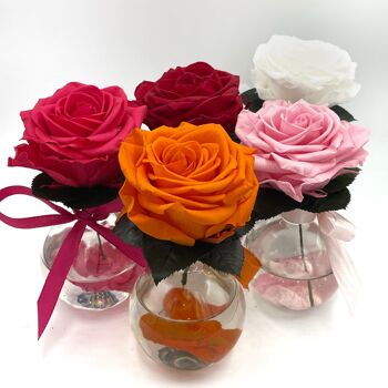 Vase Premium Rose 2