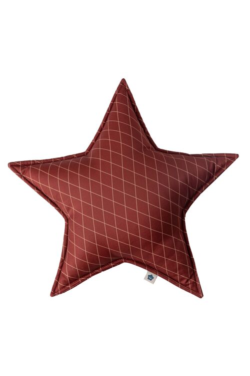 Red Christmas Star Cushion