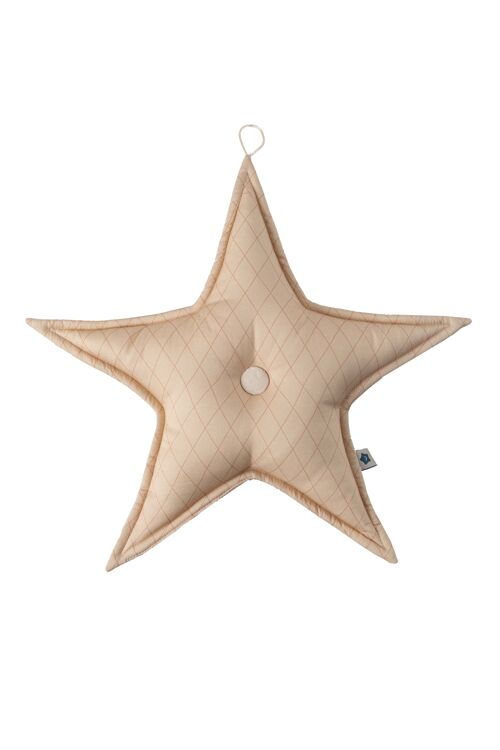 Beige Christmas Star Hanger