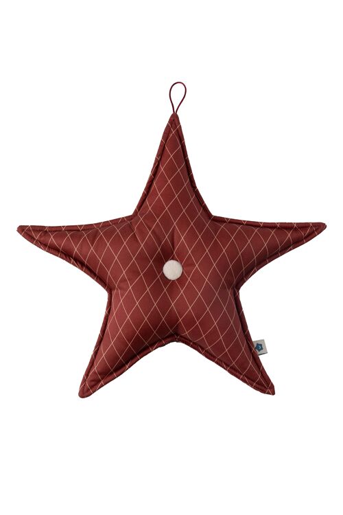Red Christmas Star Hanger