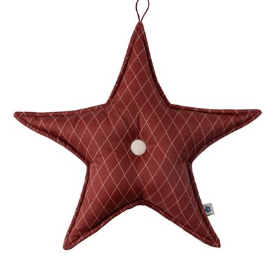 Red Christmas Star Hanger