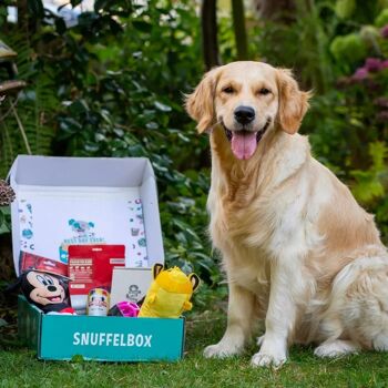 SNUFFELBOX - Le coffret cadeau pour chiens 4