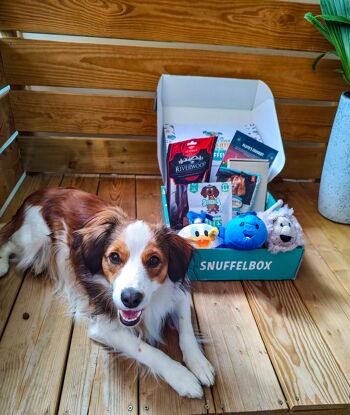 SNUFFELBOX - Le coffret cadeau pour chiens 5
