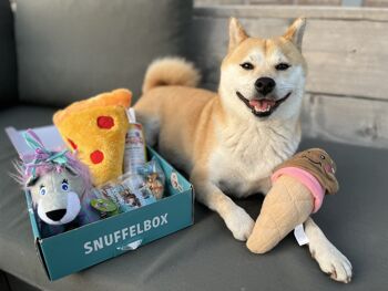 SNUFFELBOX - Le coffret cadeau pour chiens 6